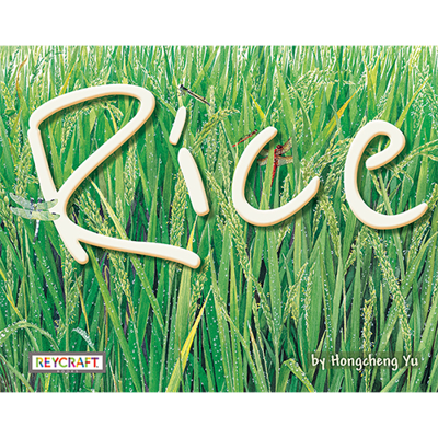 Rice cover